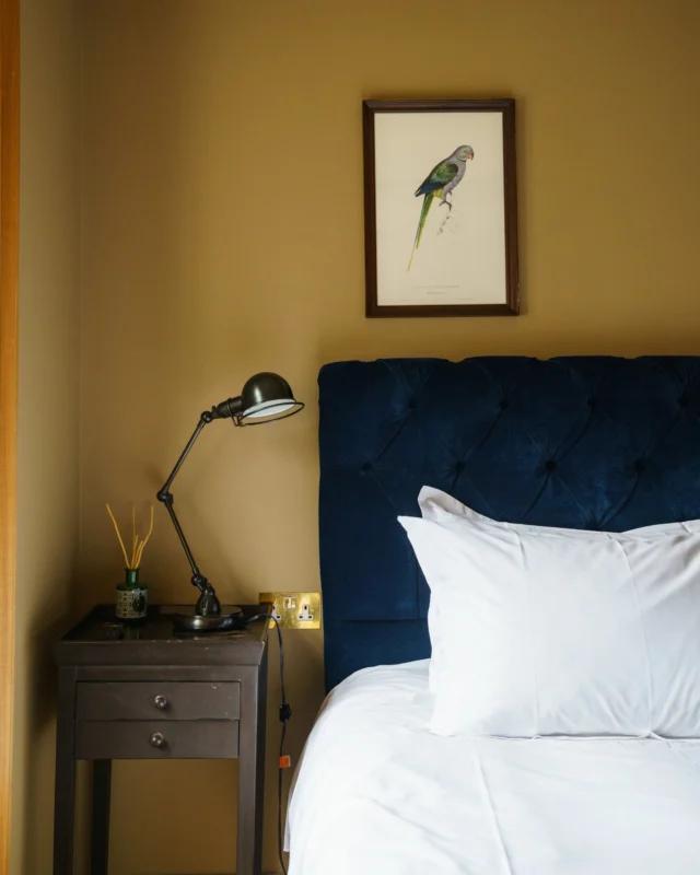 the grazing goat hotel