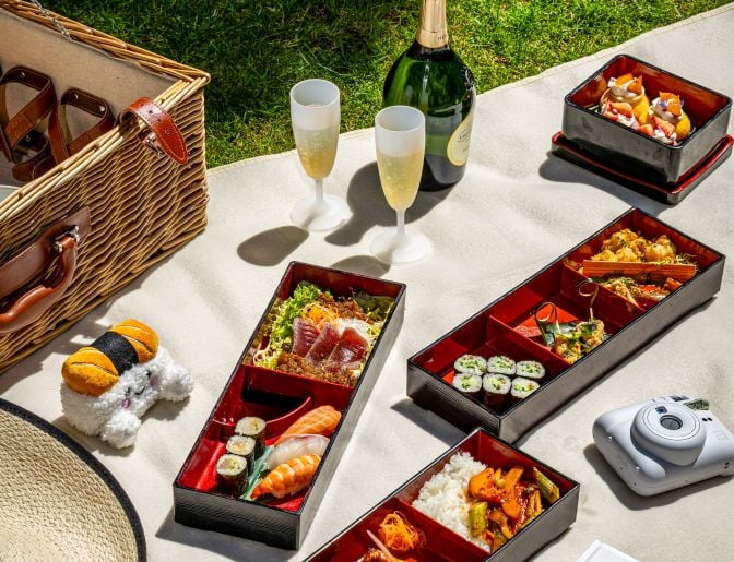 pinic with bento boxes, champagne picnic basket and polaroid camera