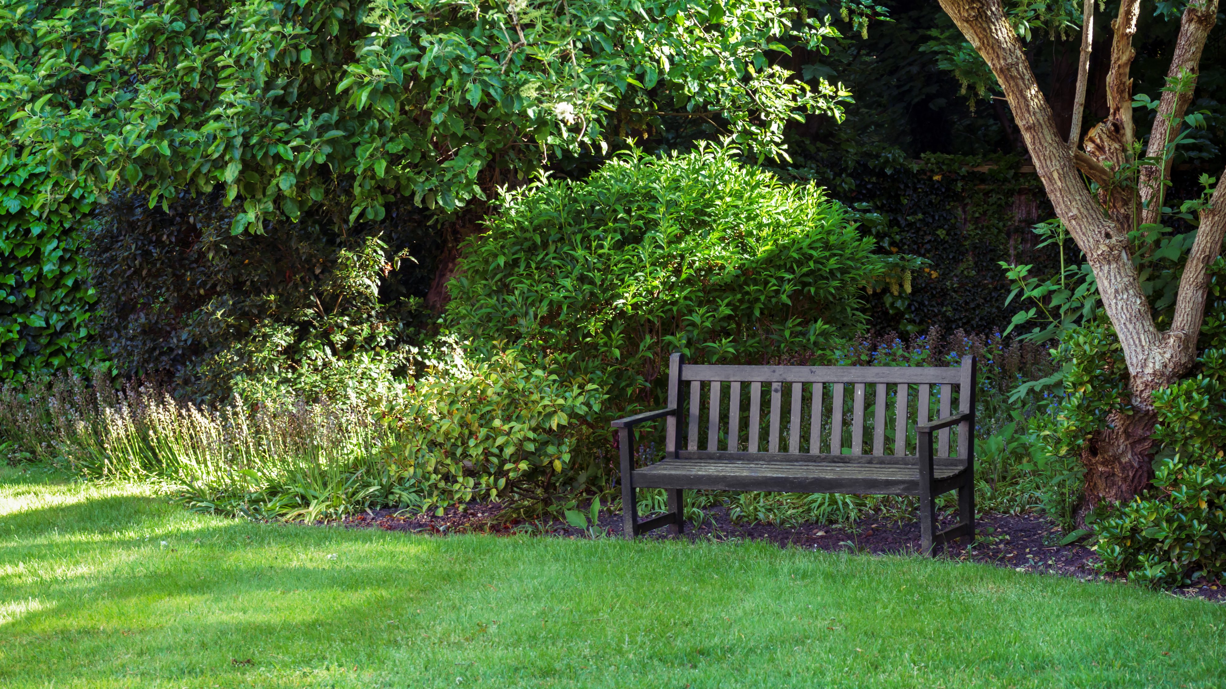 Cavendish Square Gardens