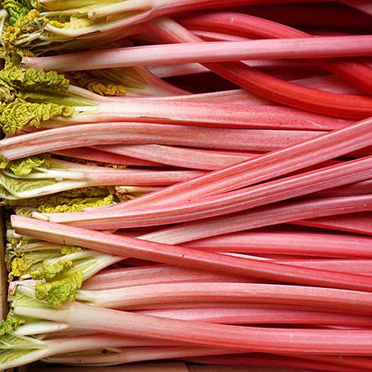 spring supper club at la fromagerie