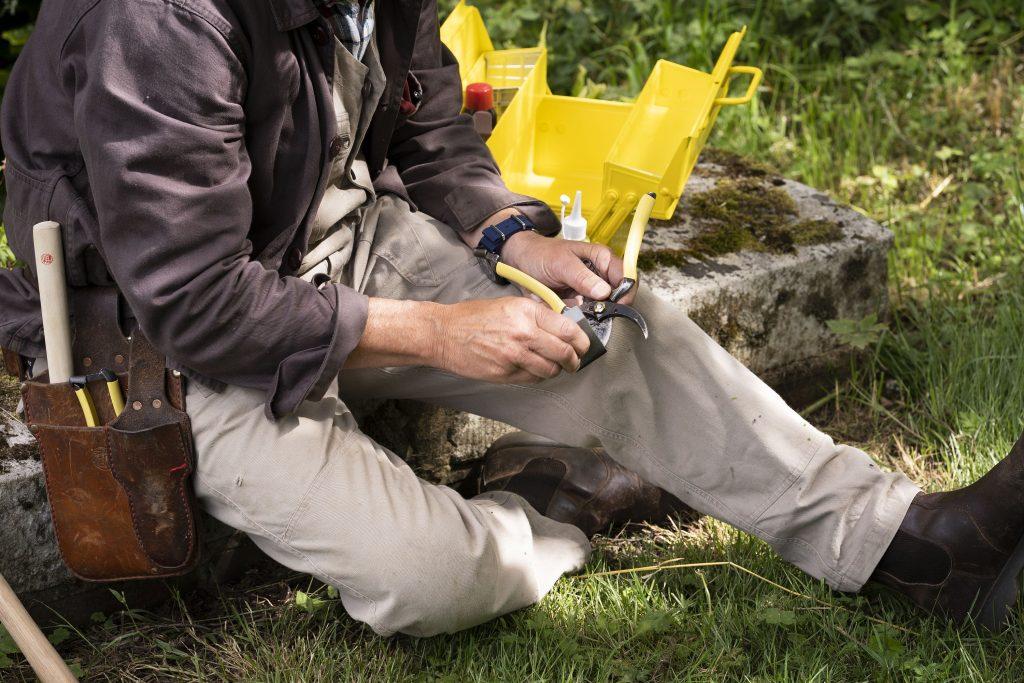 Monthly Sharpening Surgeries - Niwaki