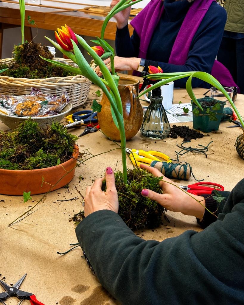 Niwaki Kokedama Workshop - Marylebone