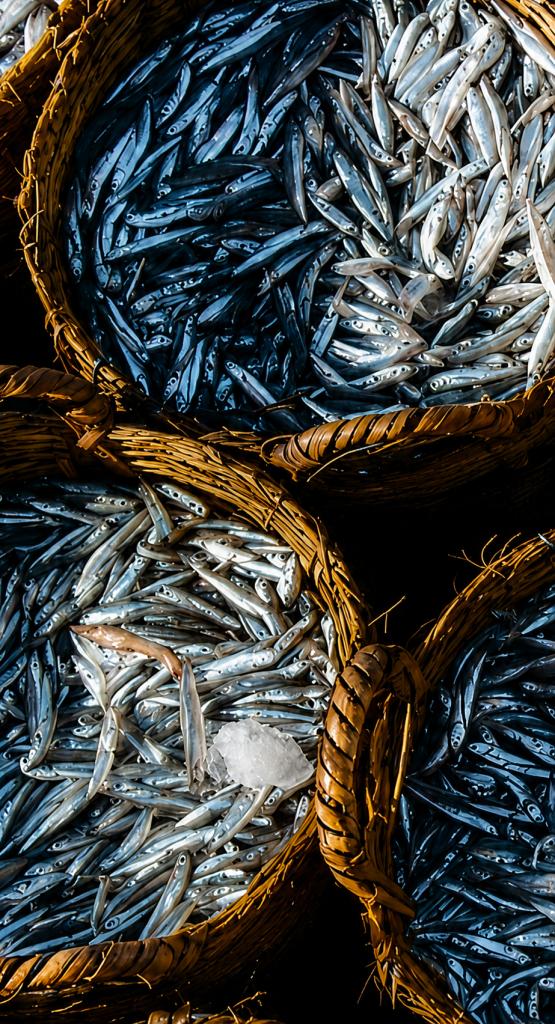Consider the Anchovy: A Special Dinner at Caldesi