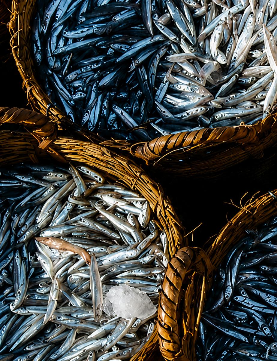 Consider the Anchovy: A Special Dinner at Caldesi