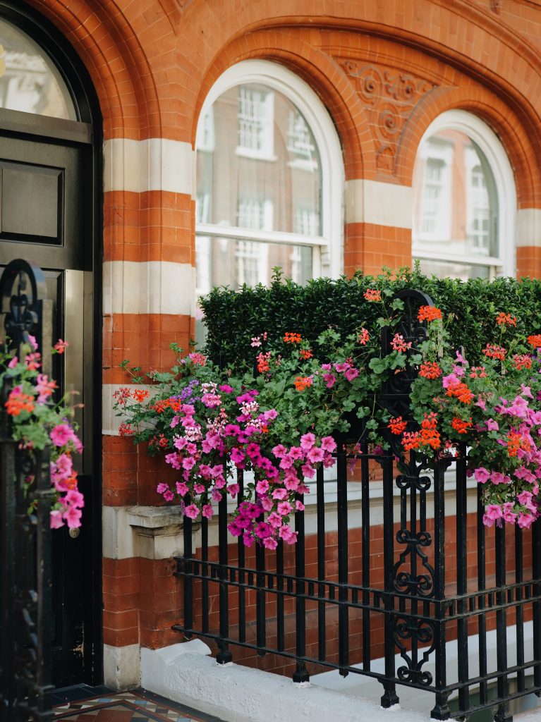 flowers and red brinks building in MArylebone