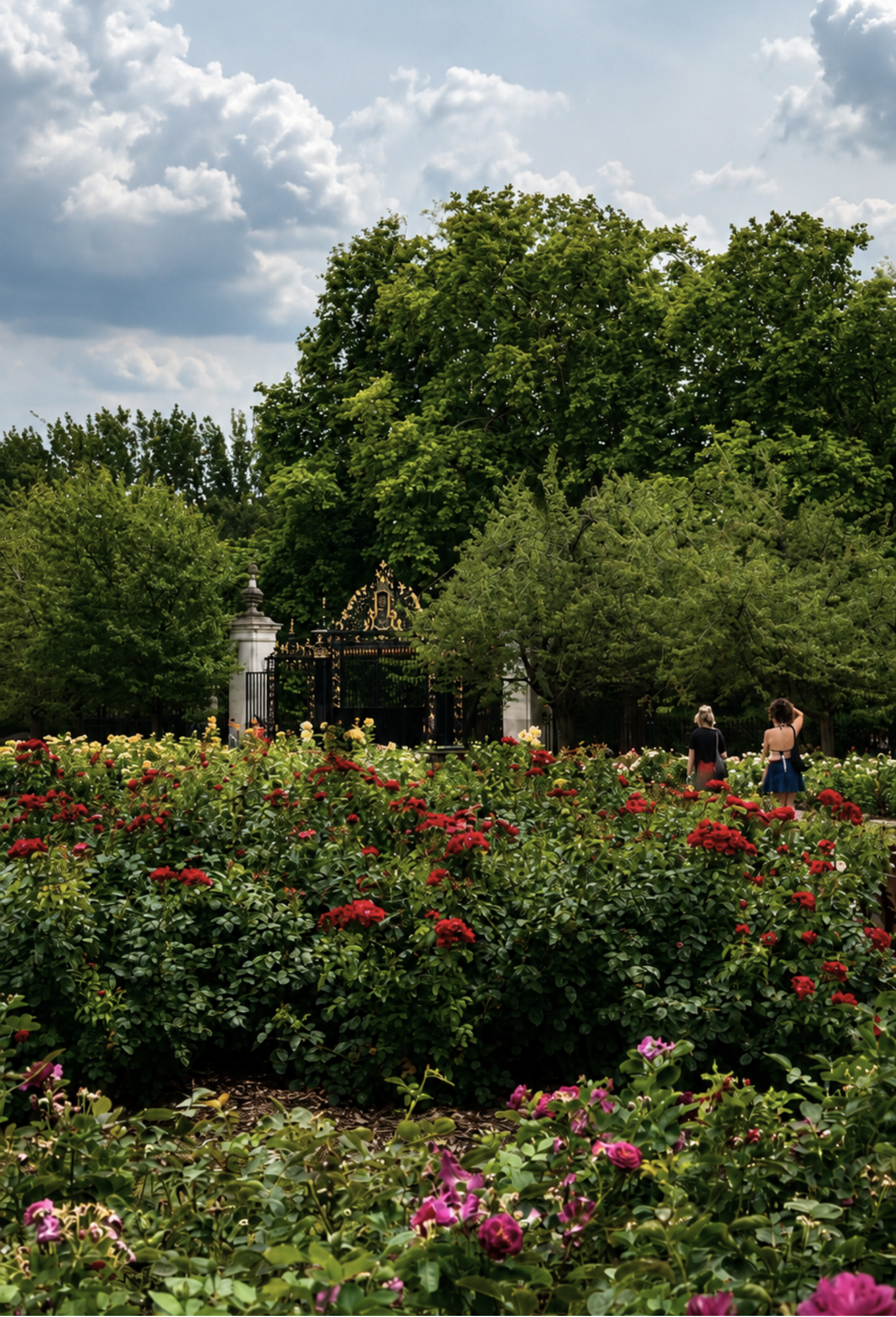 Regent's Park in the summer