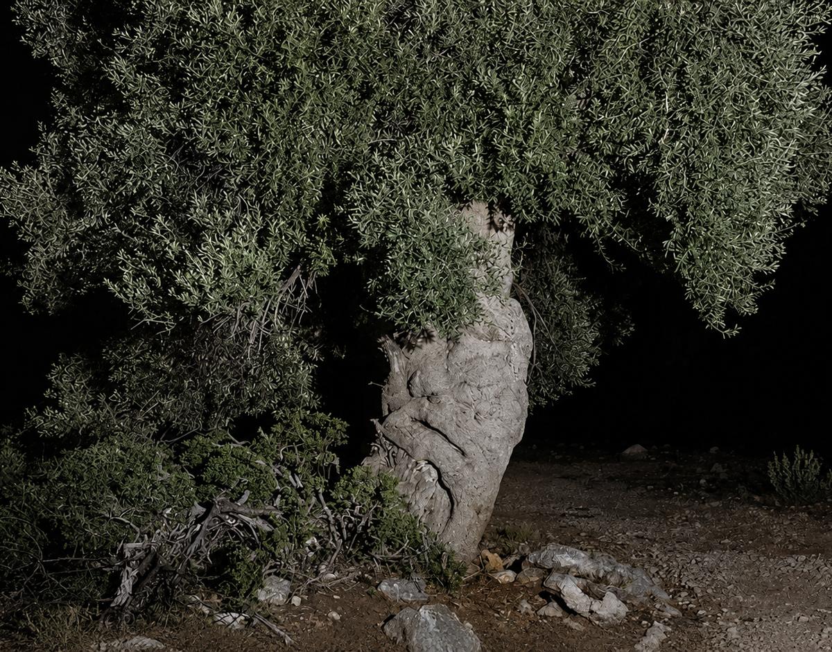 Georgia Metaxas: In Conversation - The Hellenic Centre