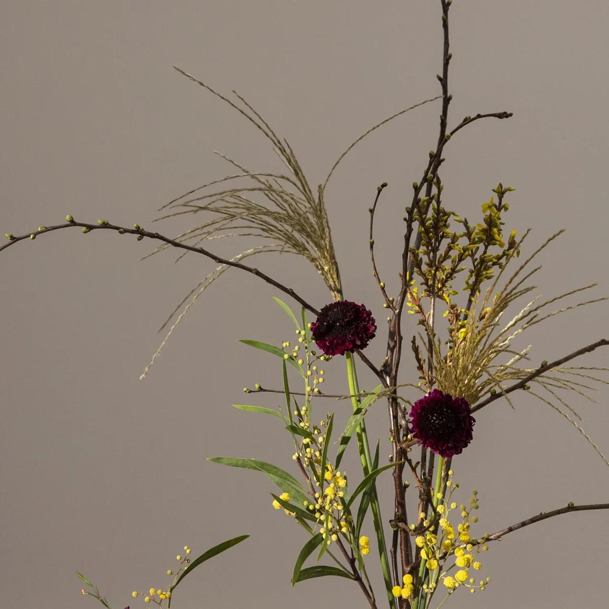 Kokedama Workshop – Niwaki, Marylebone