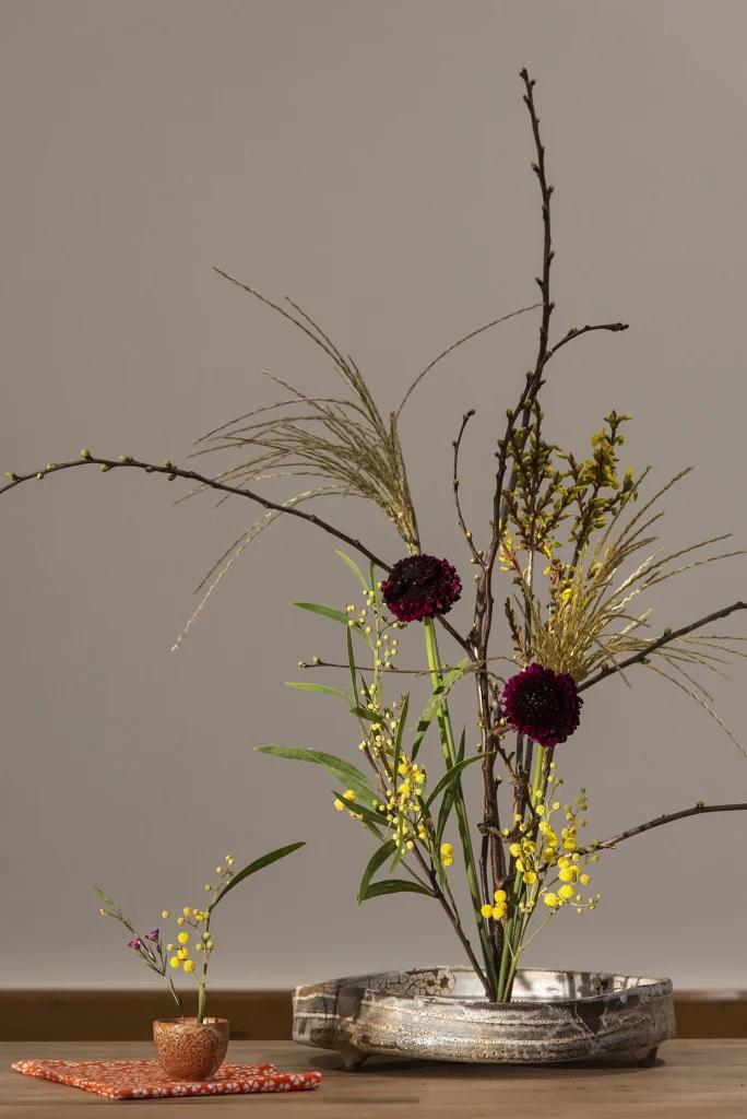 Kokedama Workshop – Niwaki, Marylebone