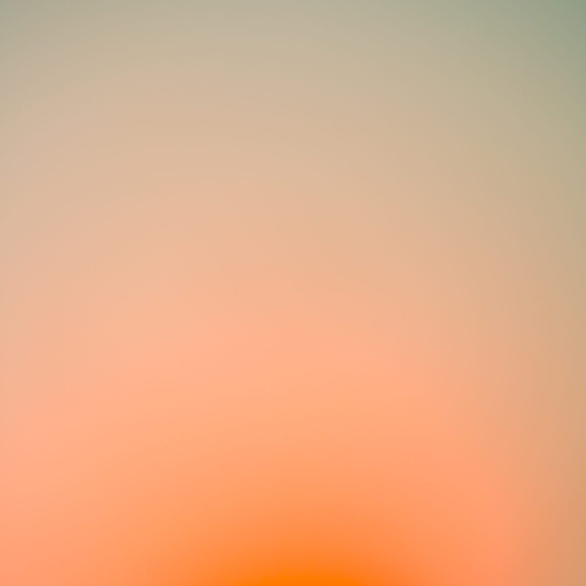 Andreas Gefeller: Surface Tension – Atlas Gallery