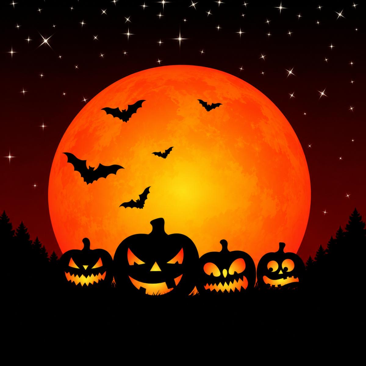 Halloween Bats, Cats & Cupcakes - La Fromagerie
